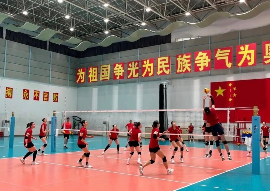 荷兰, 笔者预测的, 二的自由人